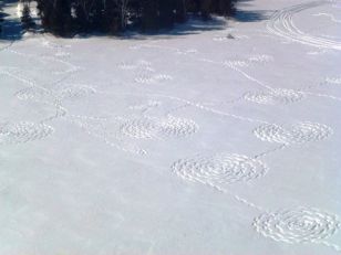 Activité en famille dans un endroit féérique