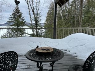 Les oiseaux font notre bonheur