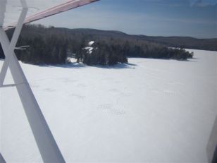 Les grands espaces de la Mauricie